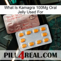 What Is Kamagra 100Mg Oral Jelly Used For new13